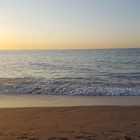 Apartmán Primera Linea De Playa